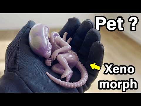 I Simulated Xenomorph In Real Life