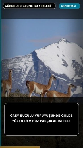 Torres del Paine: Dünyanın Ucunda Buzullar ve Sivri Zirveler Rotası #Shorts