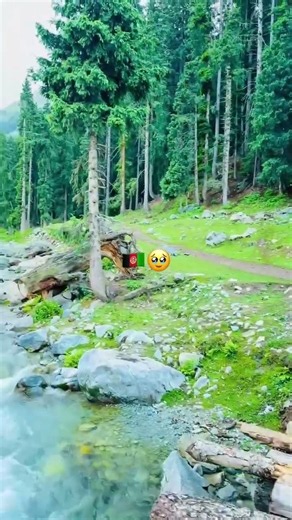 برمشاهده آهنگ به کانال ما سر بزنید مکملش موجود است 😍🤩🇦🇫