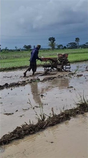 Advanced agricultural tools for plowing rice fields -Agriculture farming #shorts