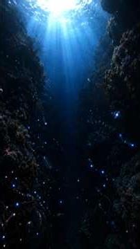 31 Alien-Like Creatures Just Discovered in the Deep Ocean! 🌊👽🪼 #marinelife #deepsea #shortsfeed