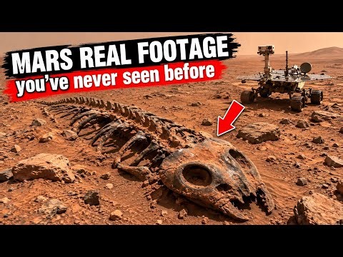 NASA's Perseverance Rover Sends Most Super Intriguing 360° Mars Footage | Mars Real Footage