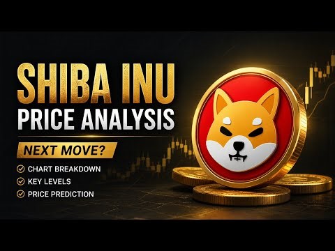 Shiba Inu Weekly Chart Analysis | Major Support Zone | SHIB Price Prediction