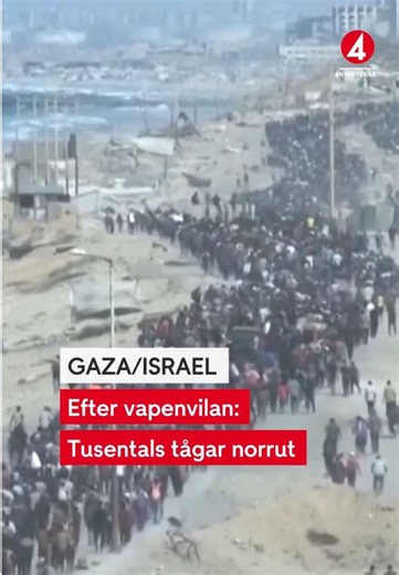 Vallfärd av Palestinier tillbaka till Gaza efter Vapenvila