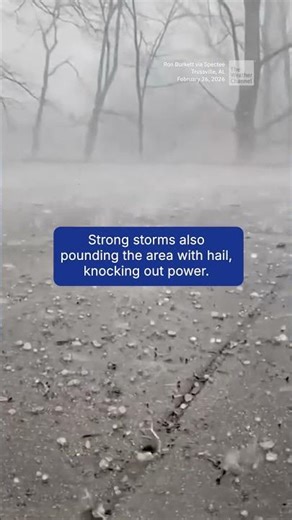 Tornado Tears Through Alabama Town