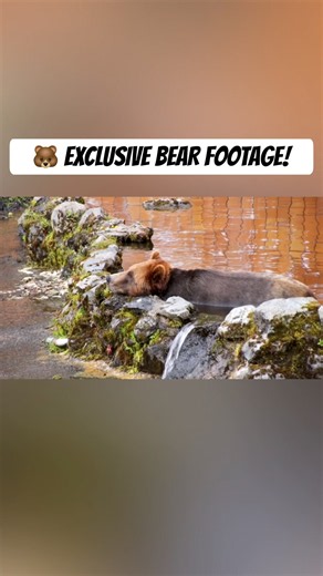 They Let Us Share This Rare Alaska Bear Footage 🐻