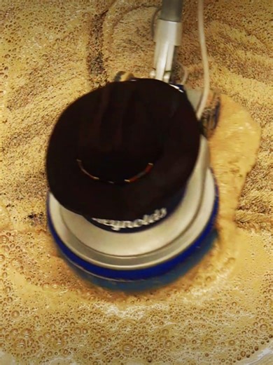 Satisfying ASMR Zebra Rug Cleaning