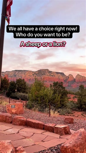 They say change takes time. The truth is, change is a decision you make every day. We can choose right now who we really want to be. A lion or a sheep. Do not be a conformist who believes everything they see. Use discernment. #ChooseWisely #CriticalThinking #UseDiscernment #RealChange #BeTheLion