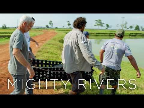 Can The World’s Mighty Rivers Be Saved, Or Is It Too Late?