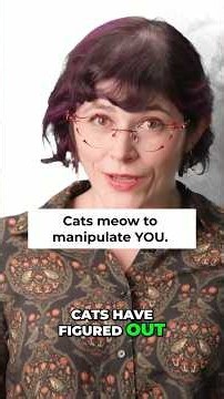 Cats Meow To Manipulate You - Here's Why! #Shorts #Cat #Pets