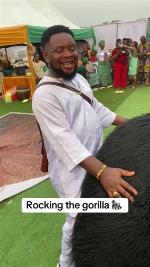 Rocking the Gorilla: A Hilarious Animal Moment