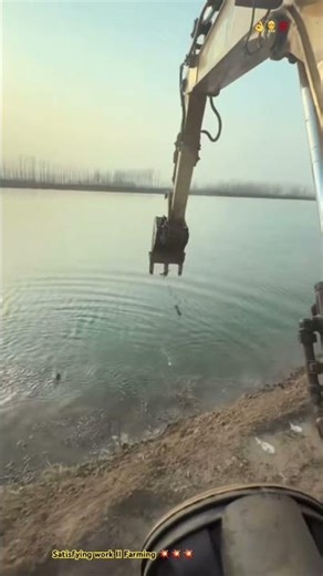 Best skilled excavator digging & transplanting on river side 🌿