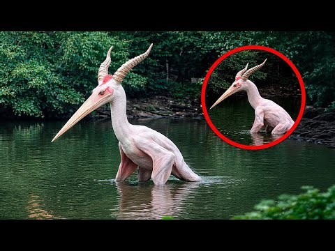 IMPOSSIBLE Extinct Animals Caught ALIVE On Camera! - Hybrid!