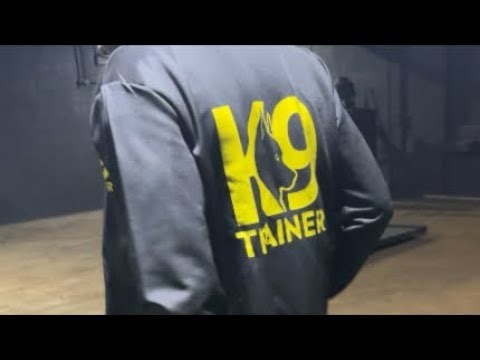 Dog Training Activities #dogtraining