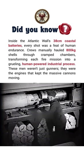 The Human Engines of the Atlantic Wall ⚓💪