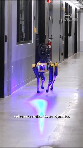 60 Minutes on Instagram: "Boston Dynamics’ robotic dog, Spot, is trained to operate in heat, cold, and varied terrain. Among their many jobs, Spot robots carry out quality control checks at the Hyundai factory in Georgia, roam the halls of Boston Dynamics, and conduct security and industrial inspections at hundreds of sites around the world."
