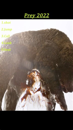 Prey (2022): Bear Hunt Escalates—Naru Strikes First, but the Predator Finishes the Kill