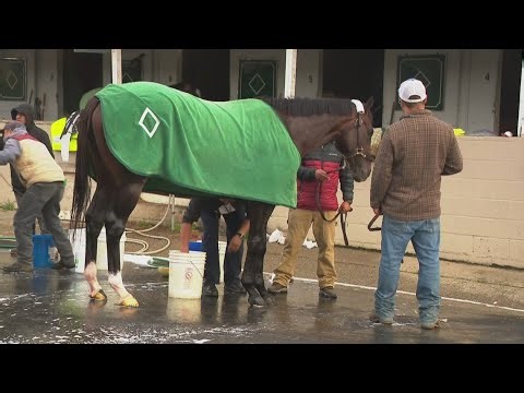 Chief Wallabee works at Churchill Downs