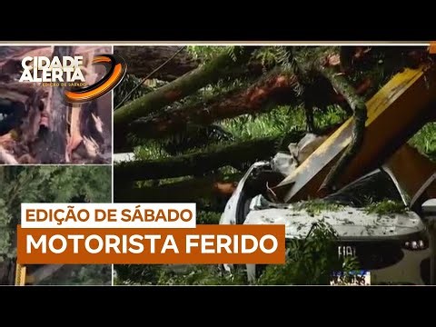 Temporal em SP: árvore cai sobre carro e deixa motorista gravemente ferido
