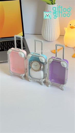 Mini Suitcase Organiser 🧳✨