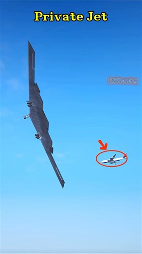 Total Panic! B 2A Stealth Bomber Targets Private Jet #MilitarySim #milsim