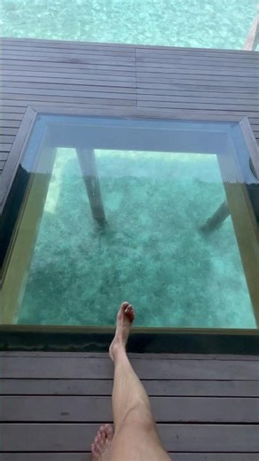 Close your eyes and imagine yourself in this paradise🔆 #summer #travel #maldives #fy #shorts