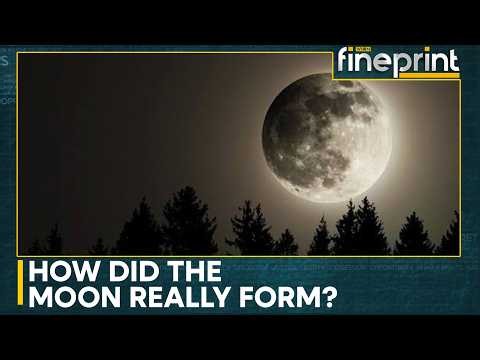 Study Claims Our Lunar Satellite Was Created in Just Five Hours | WION Fineprint