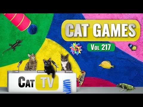 CAT Games | Ultimate Cat TV Compilation Vol 217 | 8 HOURS 🐝🐞🦋🦎🦜🐜🐭🧵
