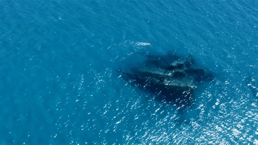 20 planes and 50 ships vanished in the Bermuda Triangle - now scientists know why