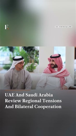 UAE and Saudi Arabia Review Regional Tensions And Bilateral Cooperation | N18G