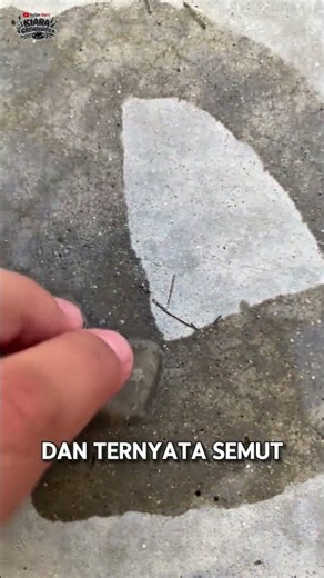This Ant Stops When Surrounded by Ice Water!