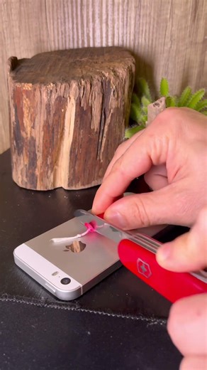 Make a candle from scratch using cheese and wax Bushcraft Survival Skills