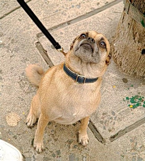 Peak Male Competition 🗿🗿 | It's Bruno! | NO BATIDAO - ZXKAI (slowed) #edit #shorts