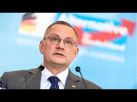 European Parliament to start procedure to ban Alternative for Germany’s EU party