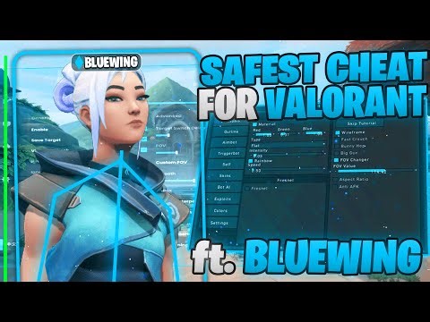 I Tried The BEST Valorant Cheats For 24 Hours... (INSANE Results)