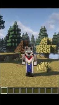 Minecraft Mods installieren leicht gemacht! 🐺🎮