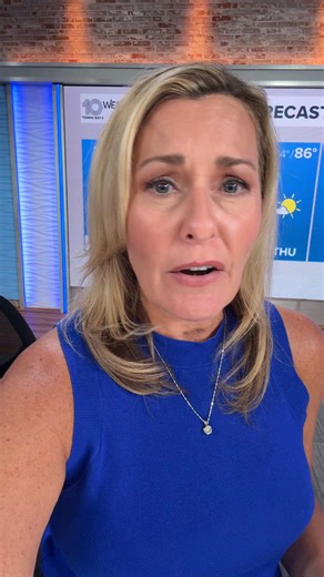 Deadly Pasco County plane crash: Neighbor describes what she saw