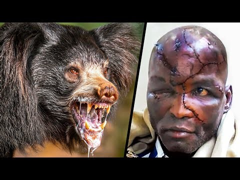 Man-Eaters with the Highest Body Counts Ever