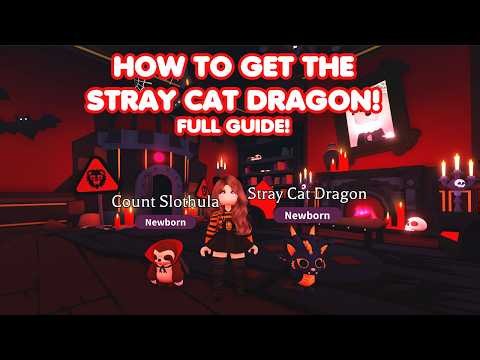 HOW to get the Stray Cat Dragon FULL GUIDE in Adopt me!