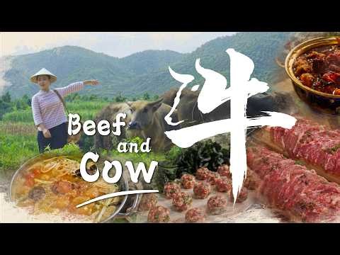 The Flavors of Yunnan Beef | A Classic Beef Food Video Collection【滇西小哥】