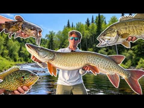 24 HOUR MULTISPECIES CHALLENGE (MINNESOTA)