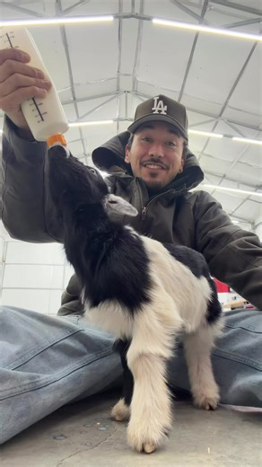 Feeding Baby Goats at Thirteen Ranch