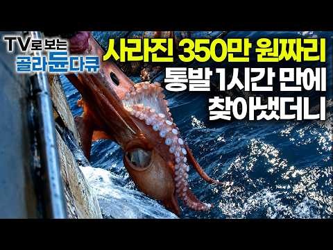 한 달 만에 기적적으로 건진 350만 원 통발, 과연 안에 뭐가 있나 봤더니｜장어도 거들떠보지 않는 대왕문어 배의 식사. 20년 경력 조리장의 선상 밥상｜극한직업｜#골라듄다큐