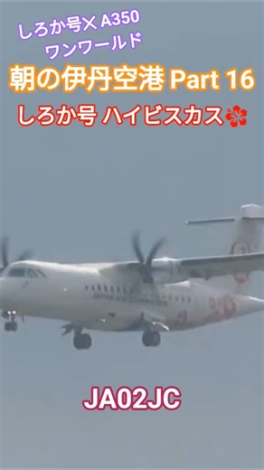 【伊丹空港】ハイビスカス しろか号🌺、A滑走路に着陸〜✈️👍