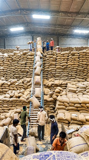 India Produces So Much Sugar, Then Why Is It So Expensive ( Sugar Price Crisis Explained )