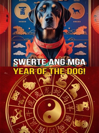 2026 Dog Horoscope Insights