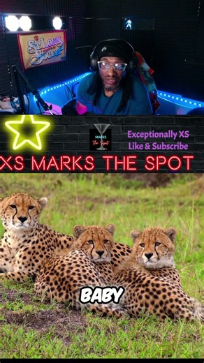 Cheetah vs. Usain Bolt: The Ultimate Speed Battle! #shorts