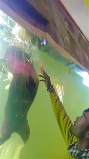 The Lemonade Mermaid