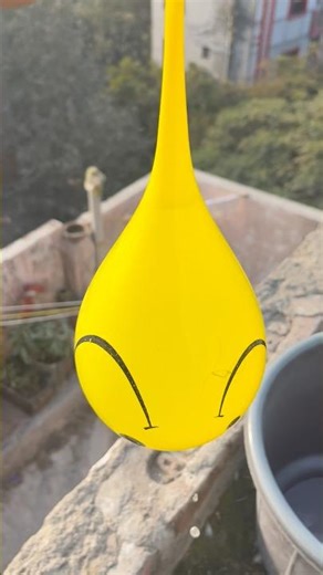 Experiment: Will a water balloon explode when it rolls down from a tall building?💥🎈#satisfying
