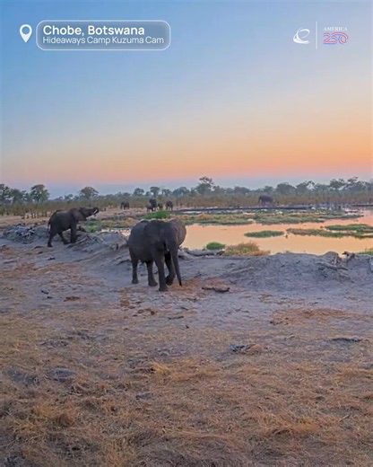 EarthCam on X: "Fall looks a little different everywhere. 🍂 From meerkats in Miami and elephants in Botswana to some unexpected pumpkin patch visitors, EarthCam is catching the season from every corner of the world. See what’s happening live on EarthCam!" / X